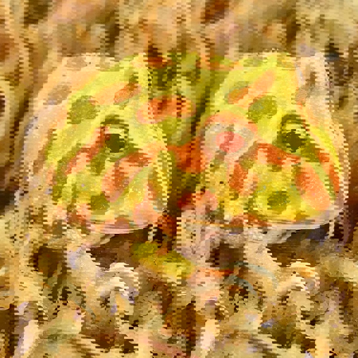 Horned Frog
