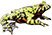Amphibians