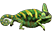 Lizards