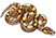 Snakes